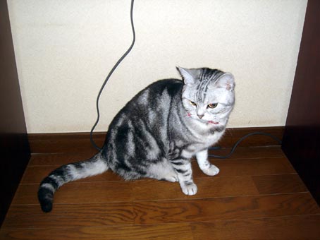 0210_01.jpg