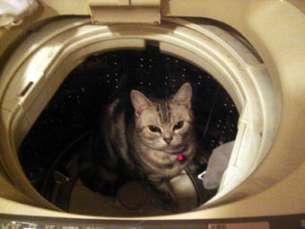0210_06.jpg