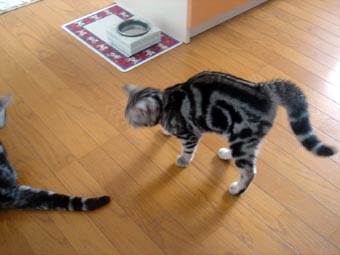 0210_10.jpg