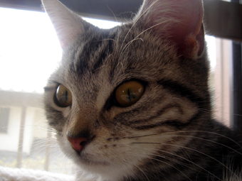 0430_03.jpg