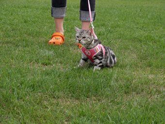 070905_02.jpg