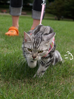 070905_03.jpg
