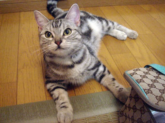 070905_11.jpg