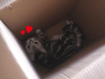 070916_07.jpg