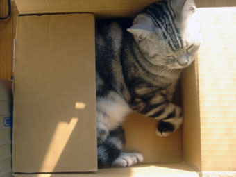 070926_03.jpg