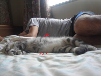 070927_03.jpg