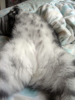 070929_08.jpg