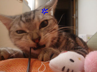 070929_10.jpg