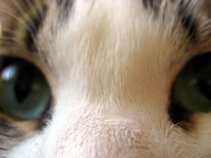 071128_02.jpg