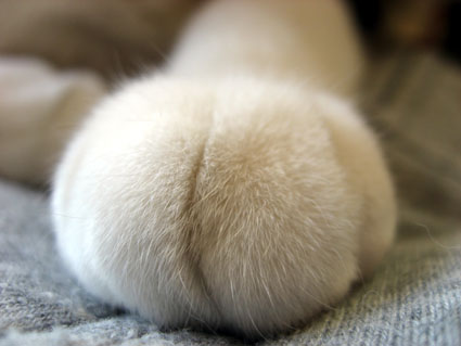 071128_05.jpg