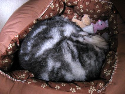 080229_02.jpg