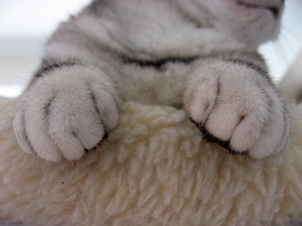 080408_13.jpg