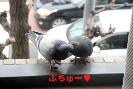 080409_03.jpg