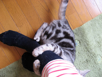080413_10.jpg