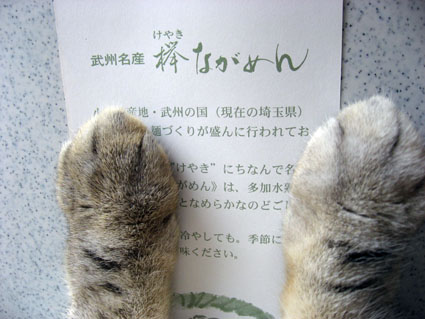 080413_14.jpg