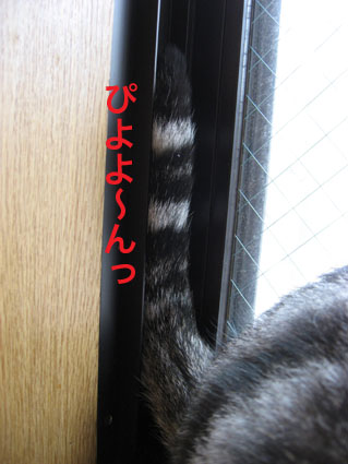 080414_03.jpg