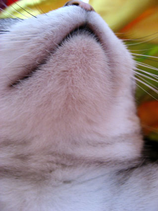 080414_07.jpg