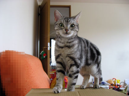 080419_07.jpg