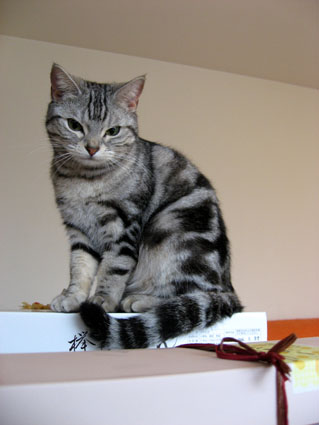 080424_01.jpg