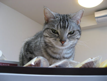 080424_04.jpg