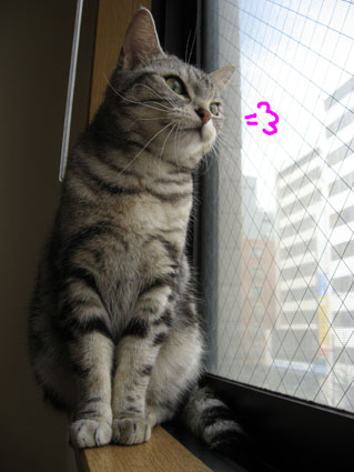 080426_06.jpg