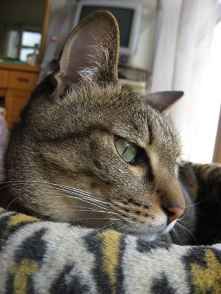 080429_01.jpg