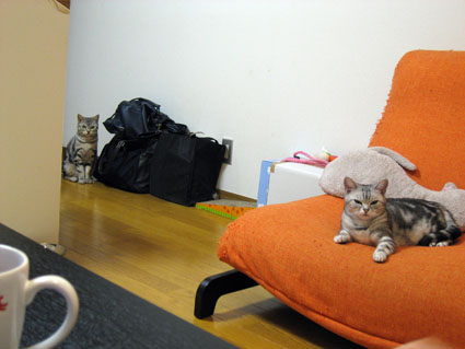 080503_01.jpg