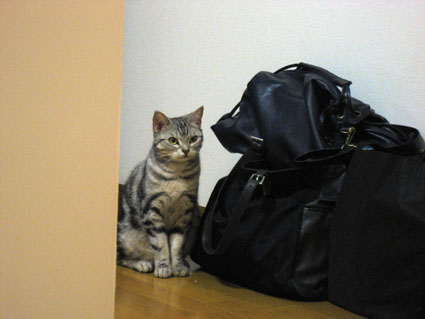 080503_02.jpg