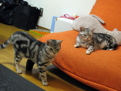 080503_03.jpg