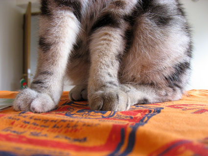 080506_13.jpg