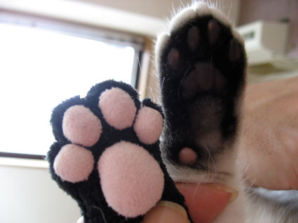 080506_14.jpg