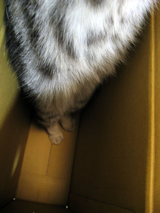 080513_05.jpg