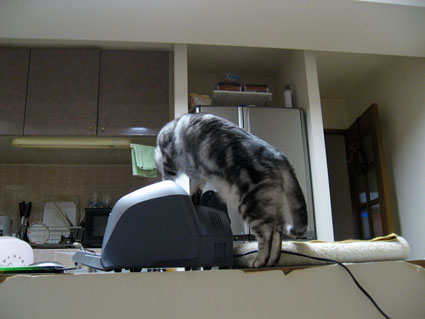 080515_03.jpg