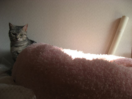 080519_02.jpg