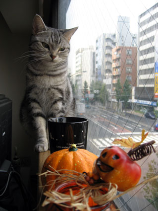 081031_04.jpg