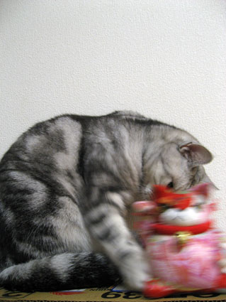 081130_04.jpg