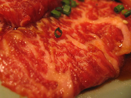 081130_14.jpg