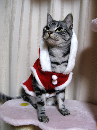 081203_06.jpg