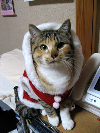 081204_03.jpg