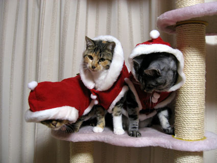 081204_04.jpg