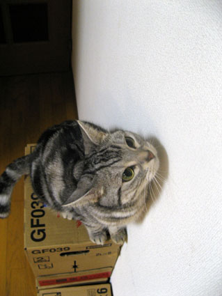 081209_04.jpg