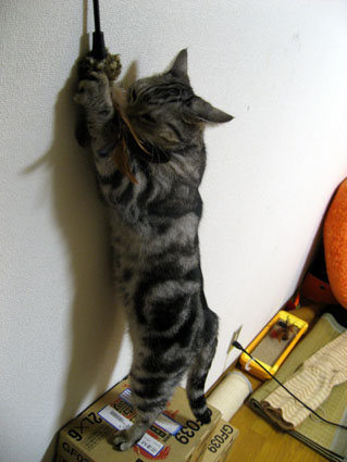 081209_06.jpg