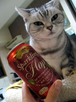 081209_08.jpg