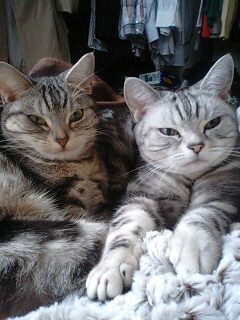 081215_01.jpg