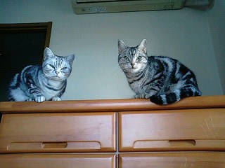 081219_01.jpg