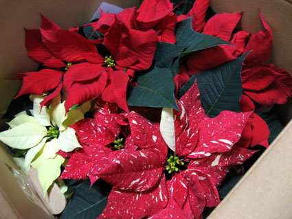 081222_03.jpg