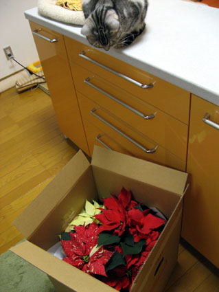 081222_04.jpg