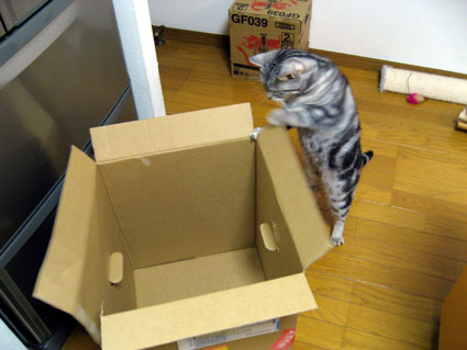 081222_05.jpg