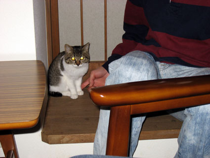 081225_01.jpg