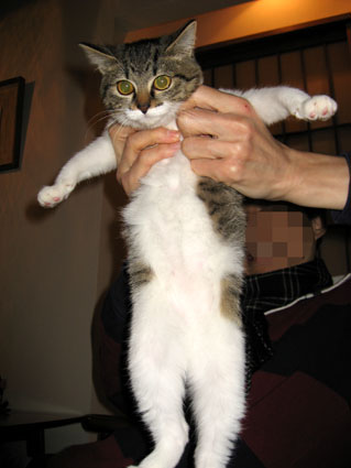 081225_02.jpg
